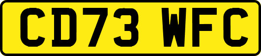 CD73WFC