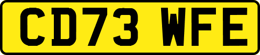 CD73WFE
