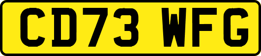 CD73WFG