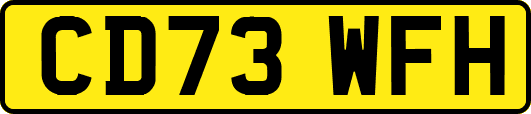 CD73WFH