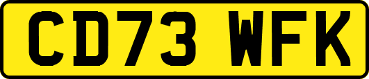 CD73WFK