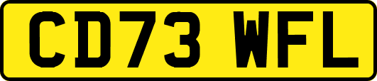 CD73WFL