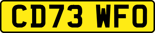 CD73WFO