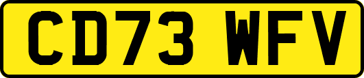 CD73WFV
