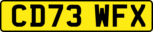 CD73WFX