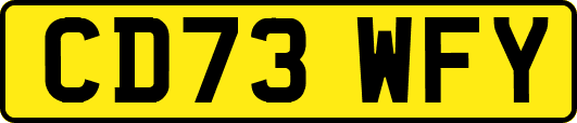 CD73WFY