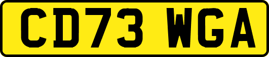 CD73WGA