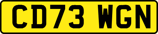 CD73WGN