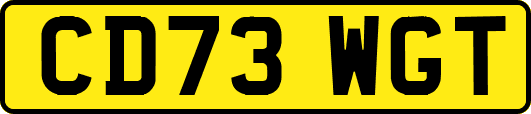 CD73WGT