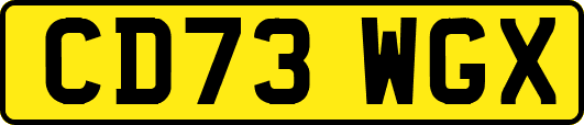 CD73WGX