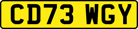 CD73WGY