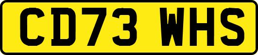 CD73WHS