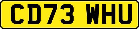 CD73WHU