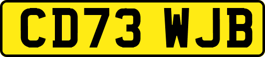 CD73WJB