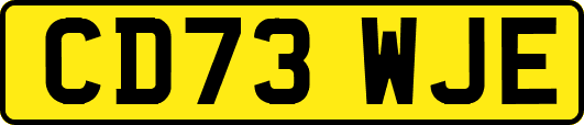 CD73WJE