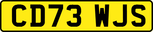 CD73WJS