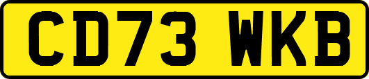 CD73WKB