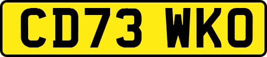CD73WKO