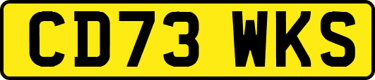 CD73WKS