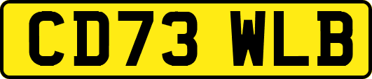 CD73WLB