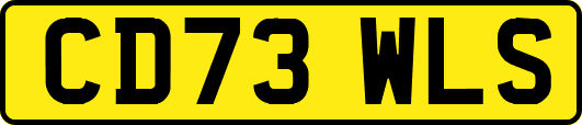 CD73WLS