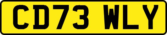 CD73WLY