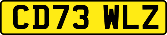 CD73WLZ
