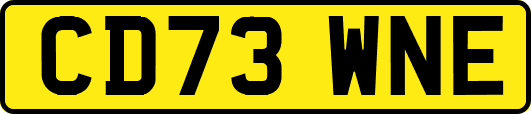 CD73WNE