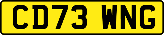 CD73WNG