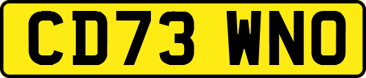 CD73WNO