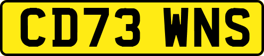 CD73WNS