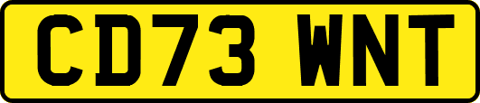 CD73WNT