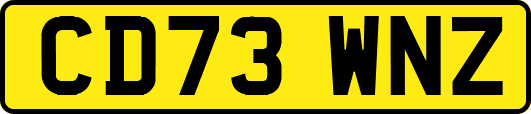 CD73WNZ