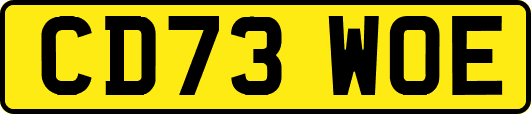 CD73WOE