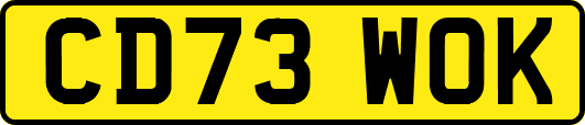 CD73WOK