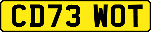 CD73WOT