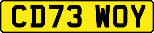 CD73WOY