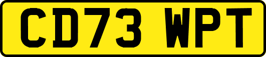 CD73WPT