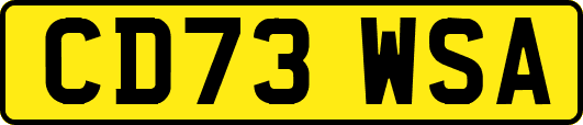 CD73WSA