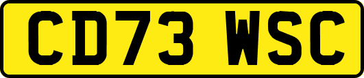 CD73WSC