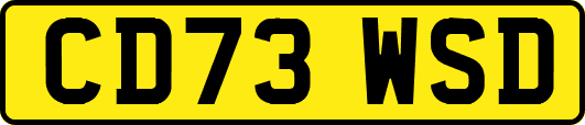 CD73WSD