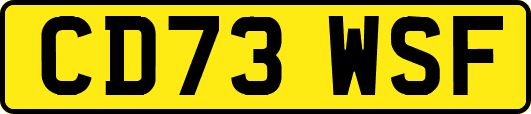 CD73WSF