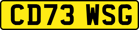 CD73WSG