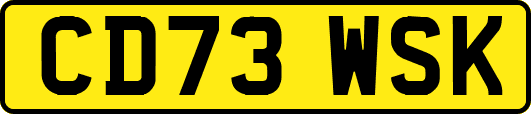 CD73WSK