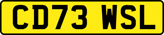CD73WSL