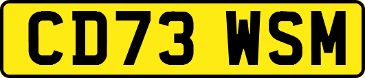 CD73WSM