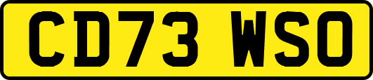 CD73WSO
