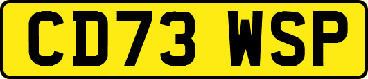 CD73WSP
