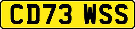 CD73WSS