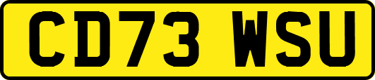 CD73WSU